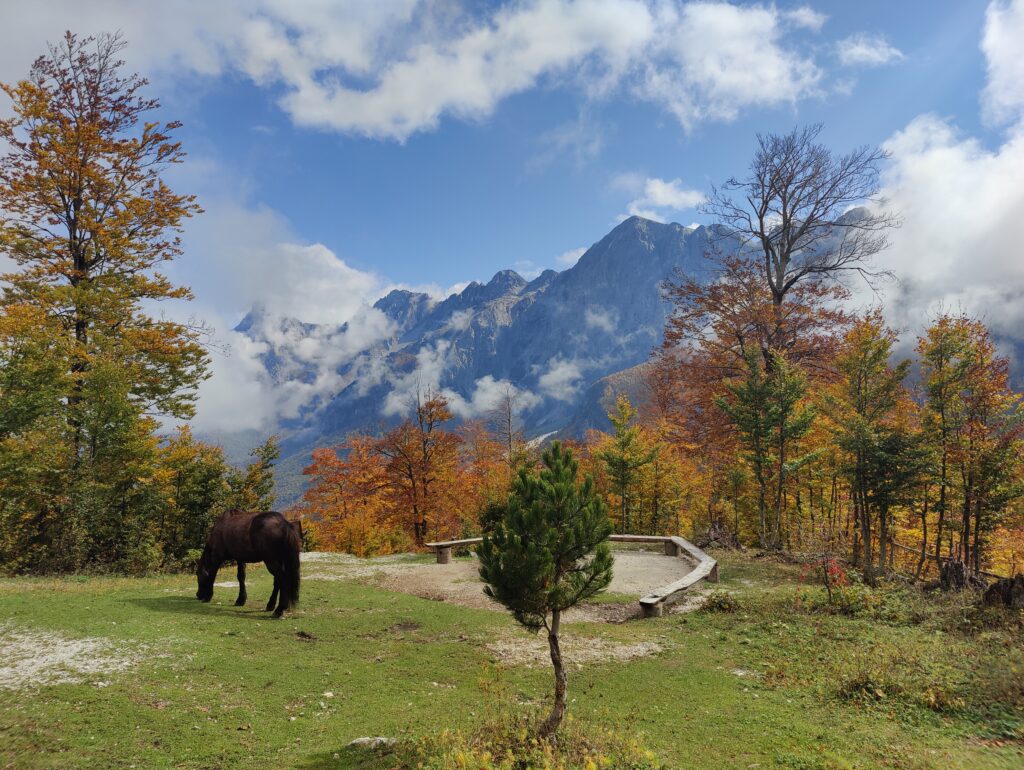 oplus_1048578 Valbona national park valley - mountain top covered by clouds